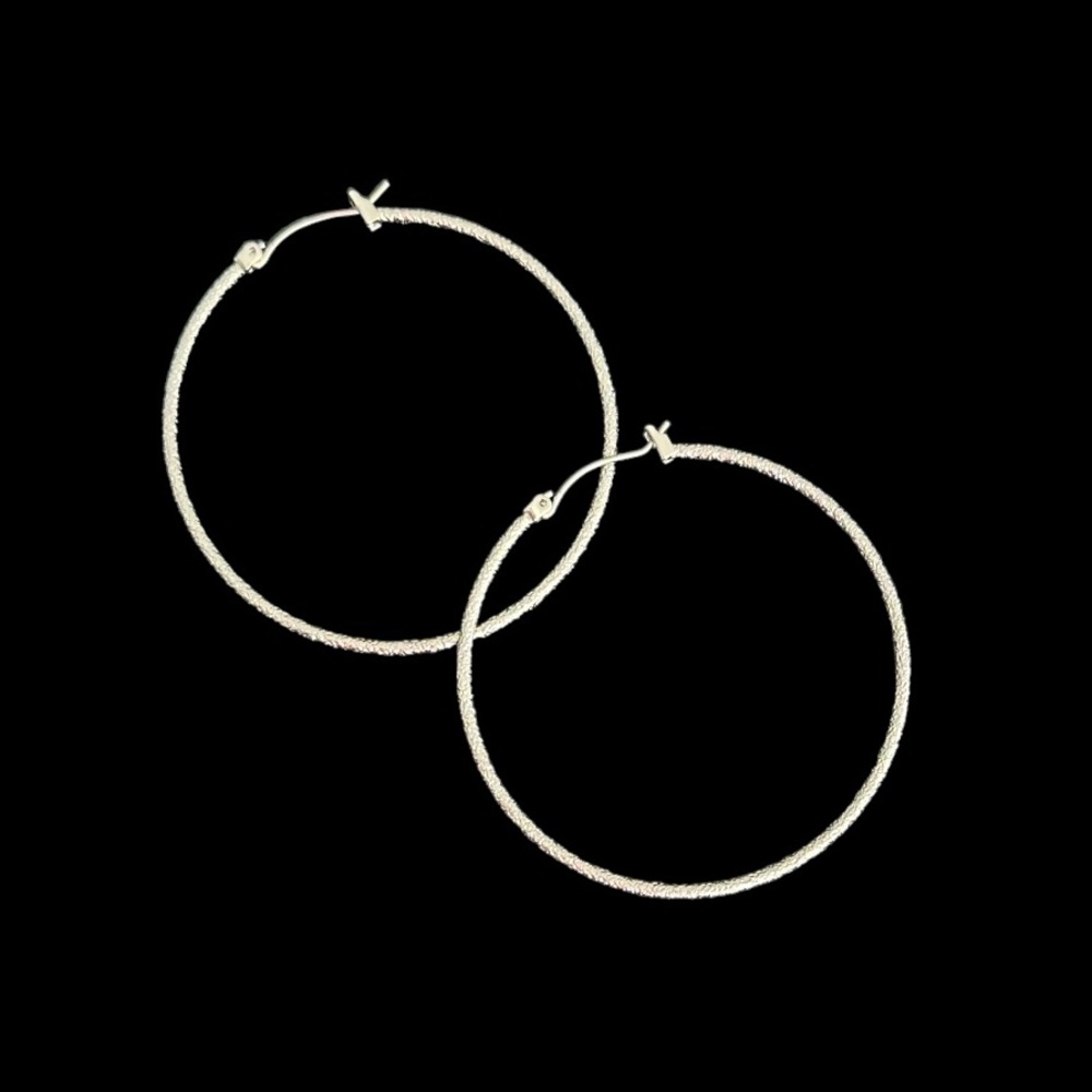 Express Silver Shimmer Hoop Earrings